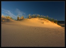 Welt Dune IV / ***