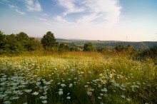 Landschaft / ***