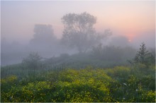 Die Ankunft am Morgen / ***