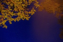 Nachthimmel / ***