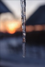 Sonnenuntergang / ***
