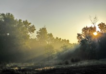 Morgenröte Leichentuch / ..........................