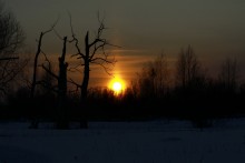 Abenddämmerung / ***