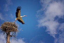 Um den Himmel ... / .......