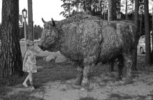 Ein Mädchen und ein Bison / ,,,,,,,,,,,,,,,,,,,,,,,,,