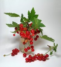 Johannisbeeren ... / ***