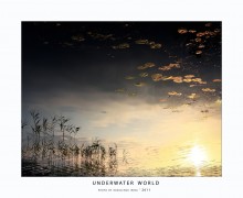 underwater world / //////////////