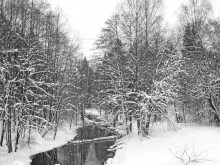 Winter-Fluss / ***