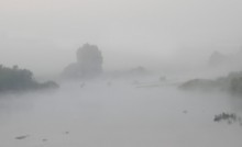 Im Nebel / ***