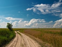 Der Weg zum Himmel / ***