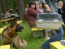 Oh, sie sind ... Eine hübsche) / ---)))