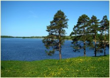 Zwischen Frühjahr und Sommer / ***