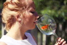 Goldfisch / ***