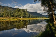 Auf der Oberfläche des Wassers .... / ---- ---- ------