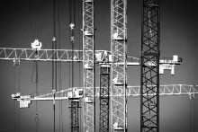 Cranes / ***