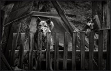 Lucy & Sohn ... / ***