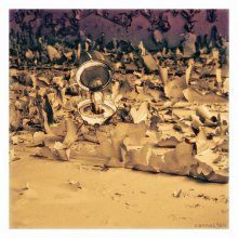 back to the Earth / ........