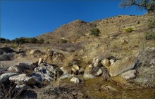 Bach, der Lemmon / Mount Lemmon, Arizona