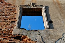 Ich habe geträumt, / ***