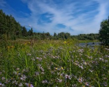 Geht Sommer / ..................................