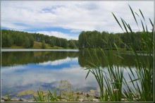 Am Ufer des Teiches / ***