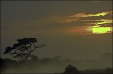 Sunset in Afrika / ***