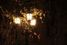 Herbstnacht / .....