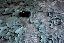 220 volts / No comments.