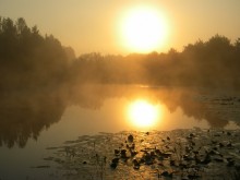 Golden Dawn in den Nebel / ***