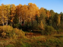 Herbst Romantik, Zauber der Augen ... / ***