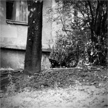 Black&amp;Wite / *****