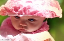 photo №5 / photo №5