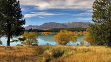 Goldener Herbst am Lake Tekapo / ***