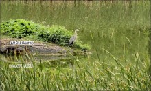 nicht fallen ... 3 / .........................