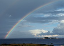 Über den Regenbogen ... / ***