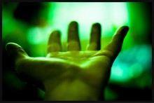 Palm. / ***
