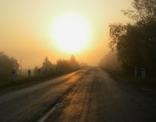 Hin zu einem sonnigen Tag / ***