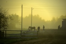 Der Morgen auf dem Bauernhof / *********