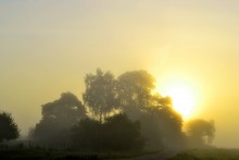 Wieder lächelt sie und Sonnenschein zu uns / ***