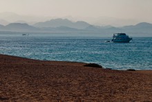 Evening Tauchen im Roten Meer / ***