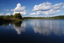 Eine Wolke Belogrivov Pferde,,, / ,,,,,,,