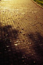 Goodbye Yellow Brick Road... / ***