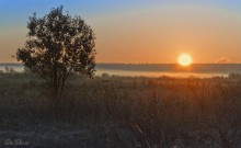 Herbstnebel ... ... ... eingefroren / *****