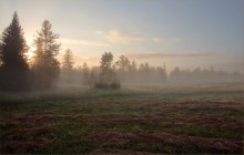 Wenn der Nebel Geruch von Heu ... / ---- ----- -----