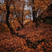 Wenn der Herbst raschelt unter den Füßen / ***