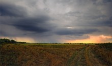 Vor dem Sturm / ***