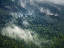 Wald - Gebirge - Clouds / ***