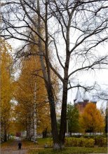 Herbst Allee. / ***