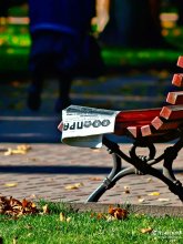 Forgotten wahr / ***