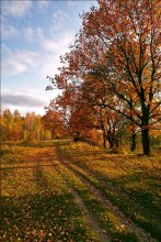 Autumn Path / ____________________*